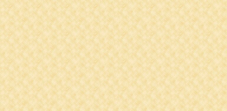 SEQUENCE 88567-2