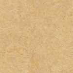 GNI CARNIVAL 81333-5 - Image 2