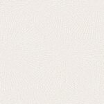 HERA VOL.6 6082-1 - Image 2