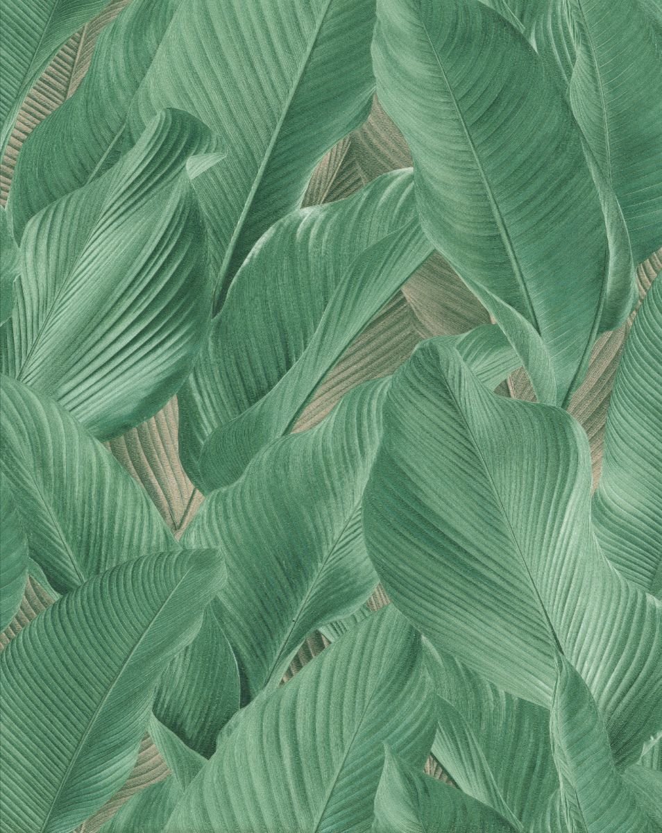 TAHITI-13304 TAHITI 13304 - Image 1